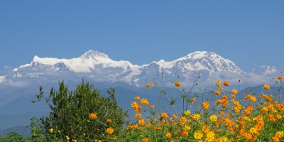 Ghorepani Poon Hill Trek
